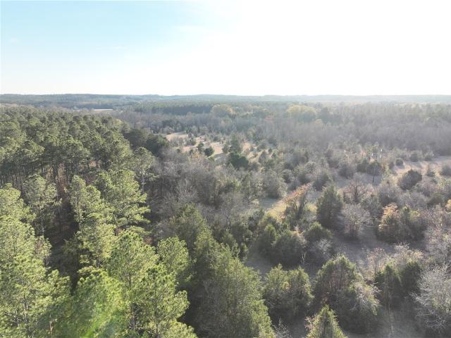Land for sale in Calhoun Falls, South Carolina