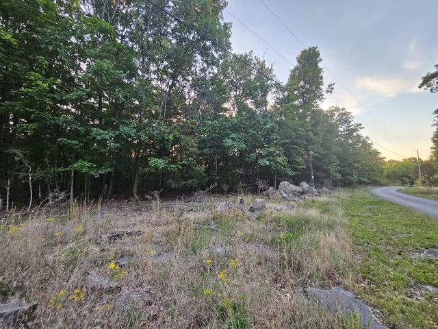 Land for sale in Tennessee