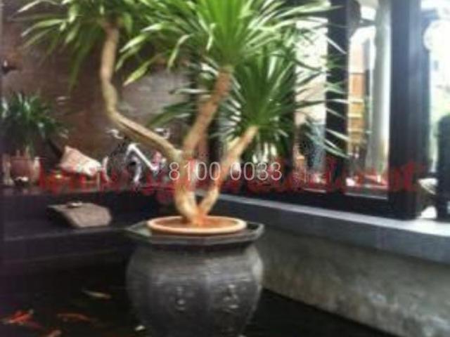 Property for sale in Ang Mo Kio