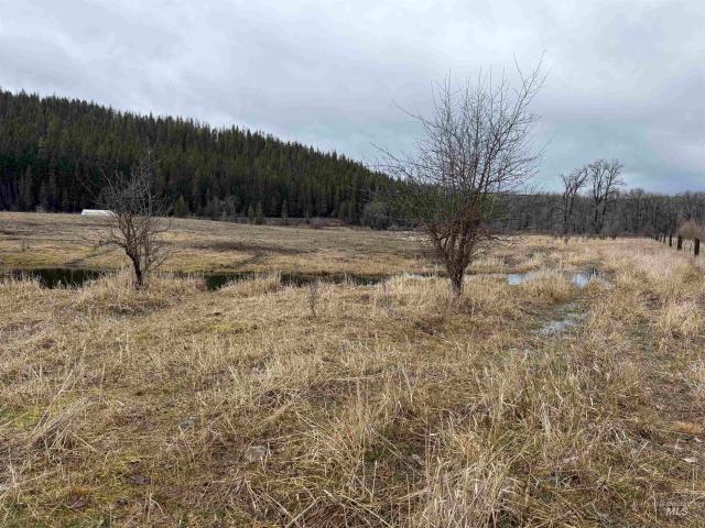 Land for sale in Shoshone, Idaho