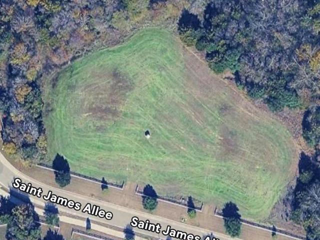 Land for sale in Sunnyvale, Texas