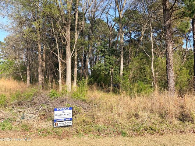 Land for sale in Roanoke Rapids, North Carolina