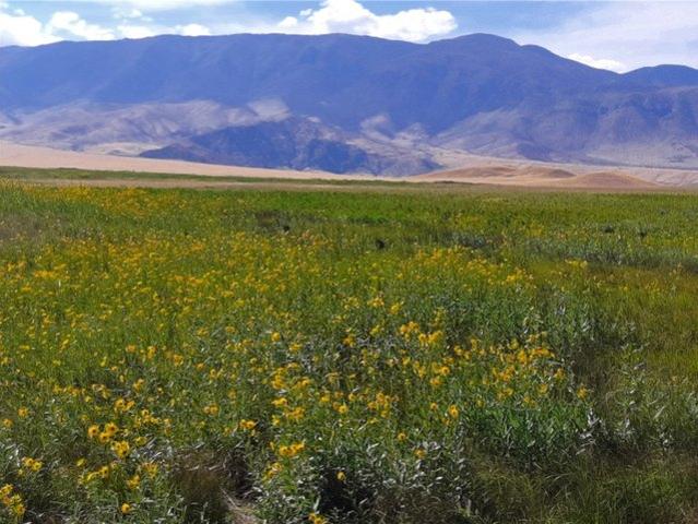 Land for sale in Belfry, Montana