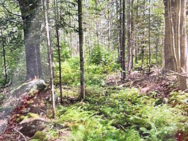 Land for sale in Damariscotta, Lincoln County