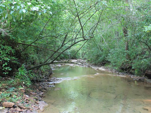 Land for sale in Tennessee