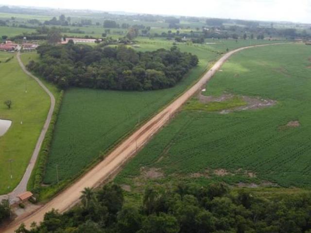 Sítio e chácara venda em Quadra