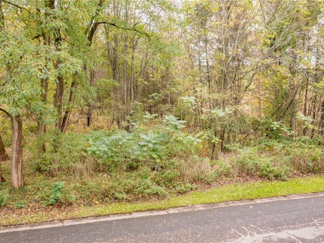 Land for sale in Mendon, New York