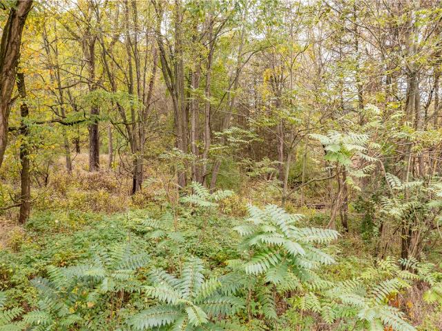 Land for sale in Mendon, New York