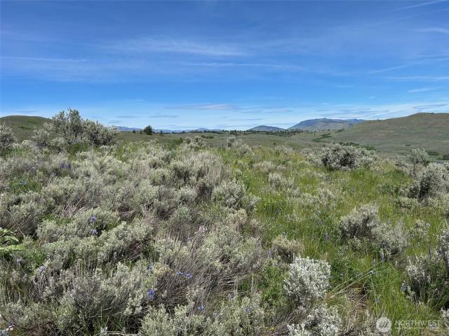 Land for sale in Oroville, Washington