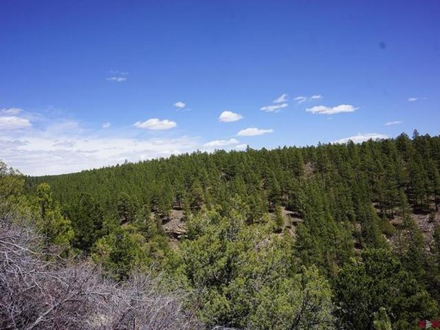 Land for sale in Montezuma, Colorado