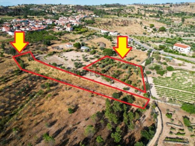 Terreno venda em Guarda