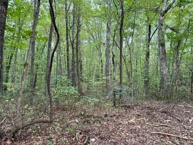Land for sale in Sanders Crossing, Tracy City