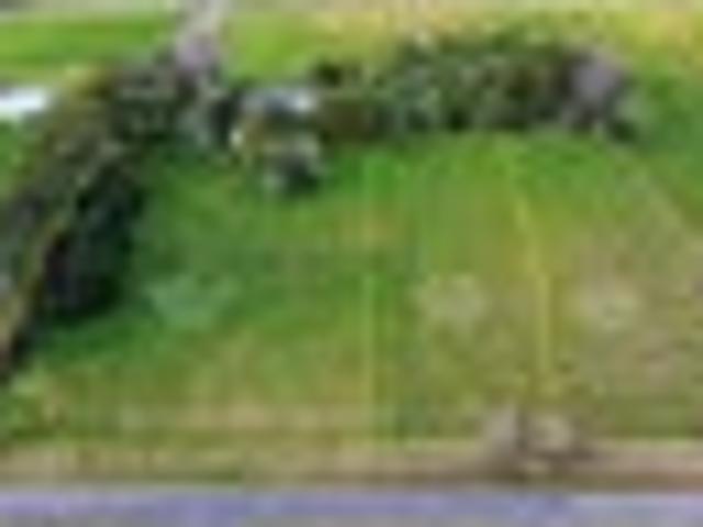 Land for sale in Halcombe