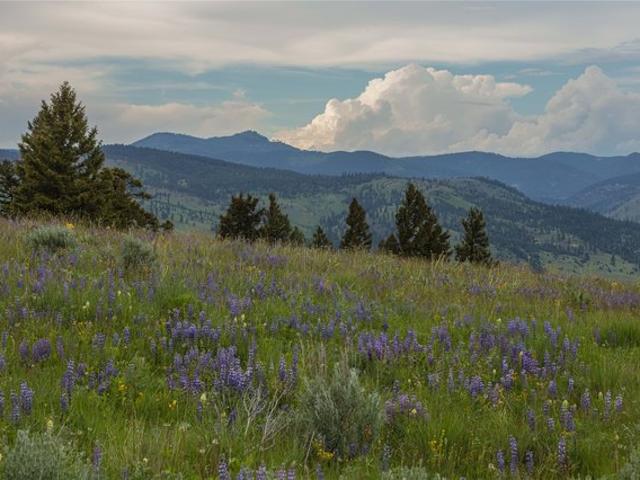 Land for sale in Granite, Montana
