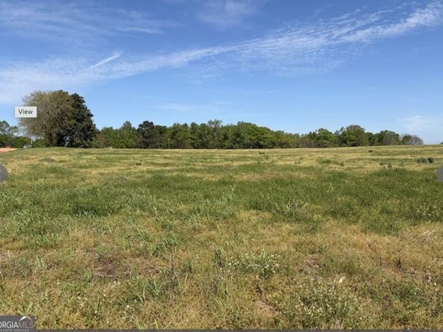 Land for sale in Carlton, Georgia