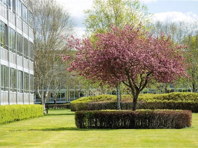 Lejlighed til leje i Herning, Århus