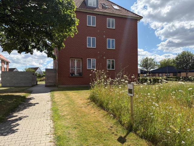 Lejlighed til leje i Vejle
