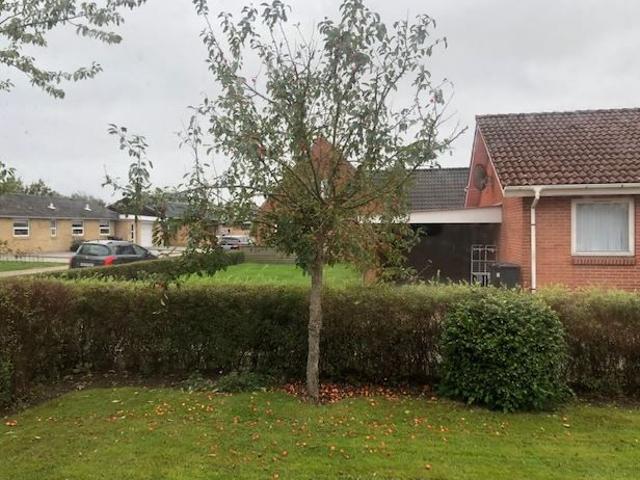 Lejlighed til leje i Langeslund, Arentsminde