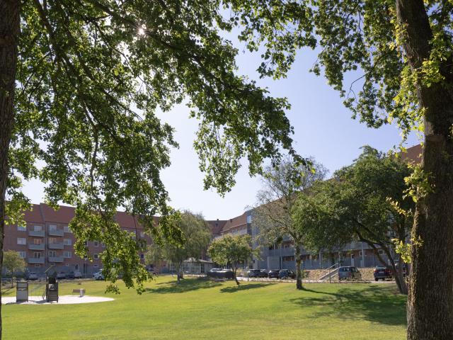 Lejlighed til leje i Struer, Århus