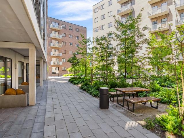 Lejlighed til leje i Aalborg, Brønderslev-Dronninglund