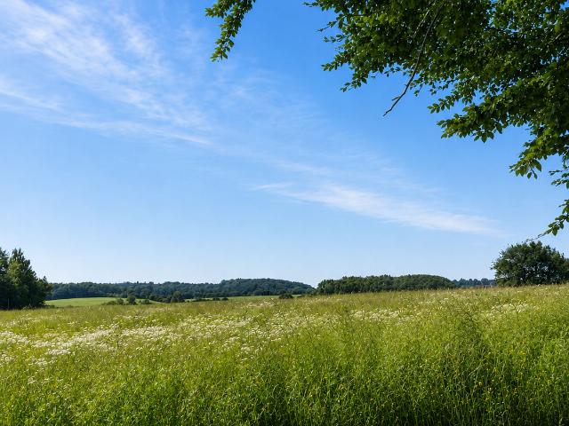 Hus til leje i Langeland