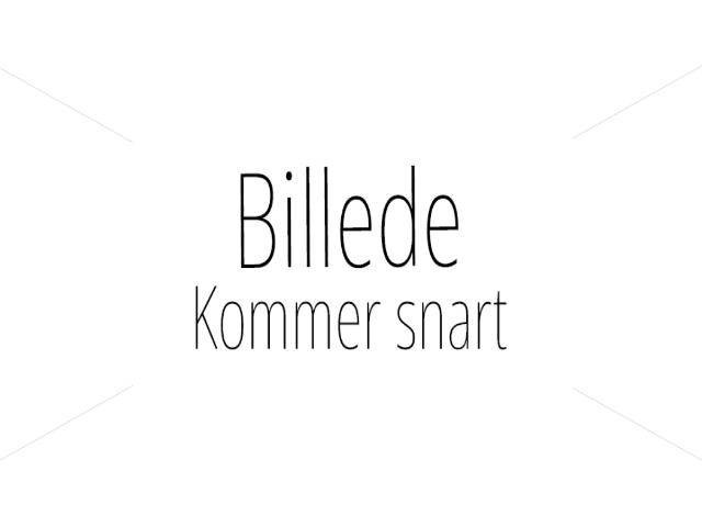 Hus til leje i Spøttrup, Skive