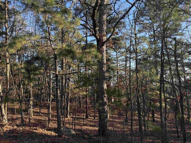 Land for sale in Ark