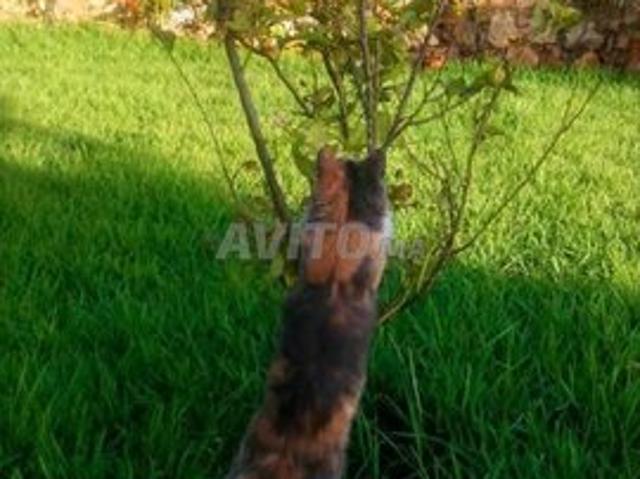 Propriété vente à Agadir, Oued ed Dahab-Lagouira