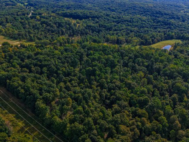 Land for sale in New Hope, Spencer