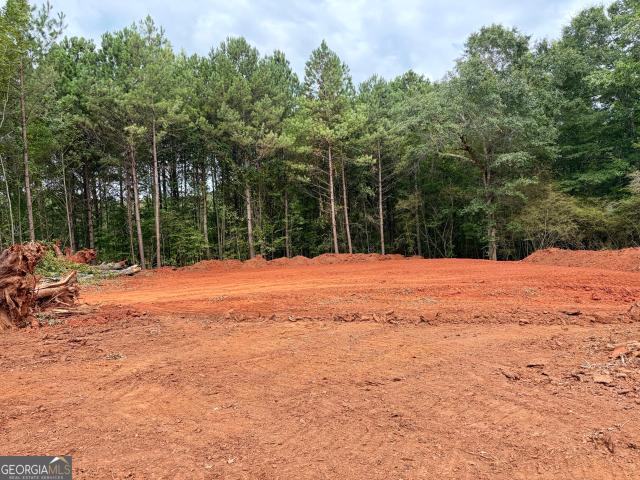 House for sale in Williamson, Georgia
