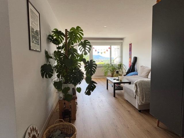 Wohnung mieten in Bolligen, Bern
