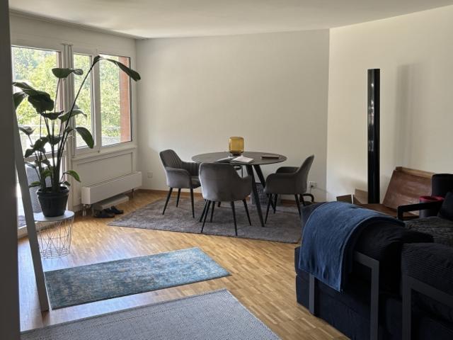 Wohnung mieten in Hünenberg, Zug