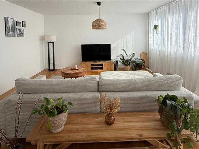 Wohnung mieten in Ingenbohl, Schwyz