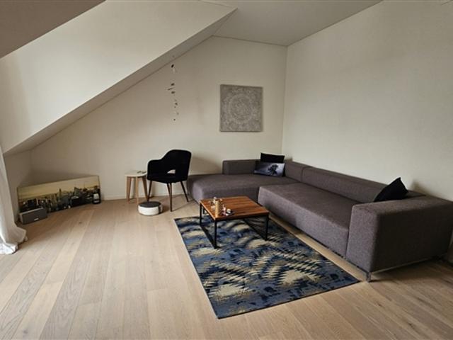 Wohnung mieten in Schneisingen, Aargau