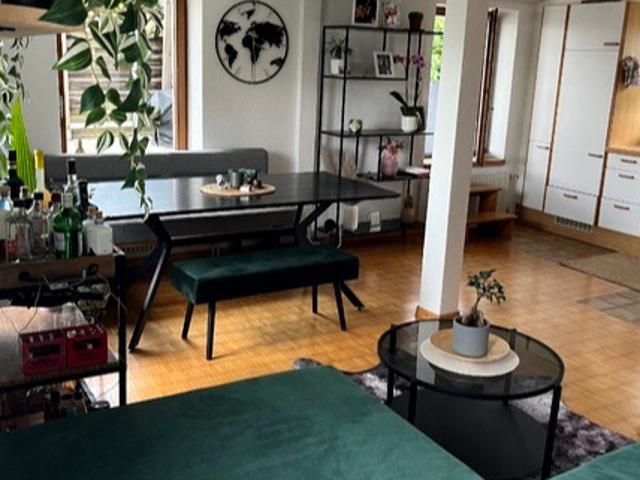 Wohnung mieten in Wädenswil, Zürich