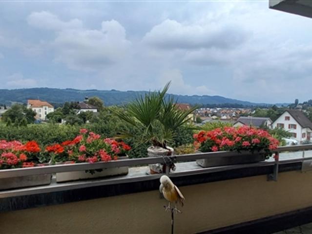 Wohnung mieten in Würenlos, Aargau