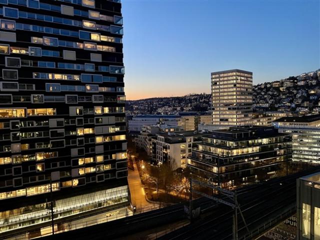 Wohnung mieten in Einigen, Zürich