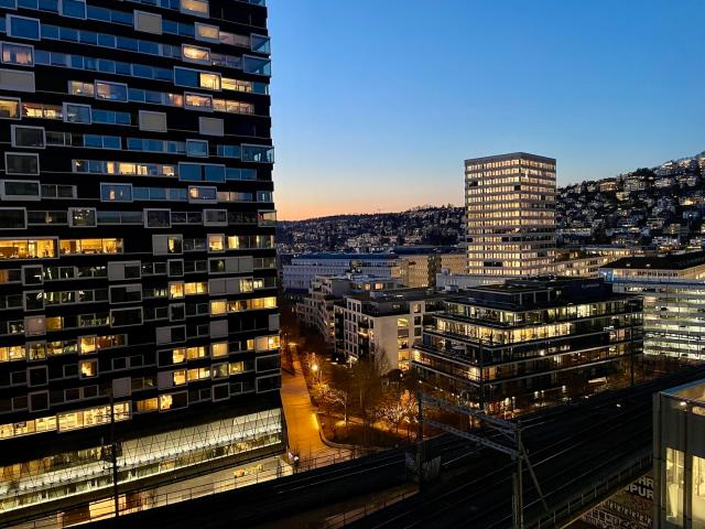 Wohnung mieten in Einigen, Zürich