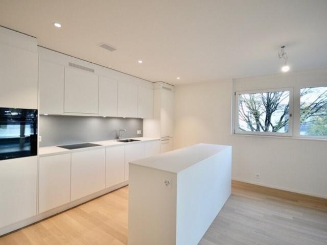 Wohnung mieten in Zürich, Bezirk Zürich