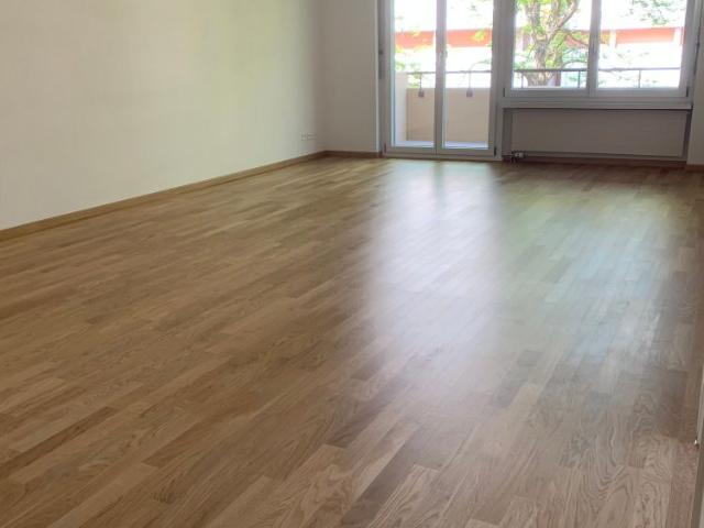 Apartment mieten in Schlieren, Bezirk Dietikon