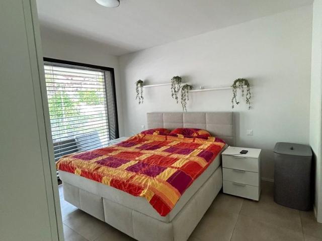 Apartment mieten in Bedano, Tessin
