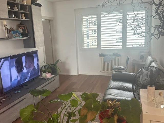 Apartment mieten in Paradiso, Tessin