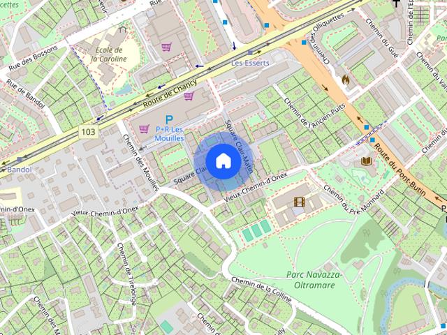 Apartment mieten in Petit-Lancy, Lancy