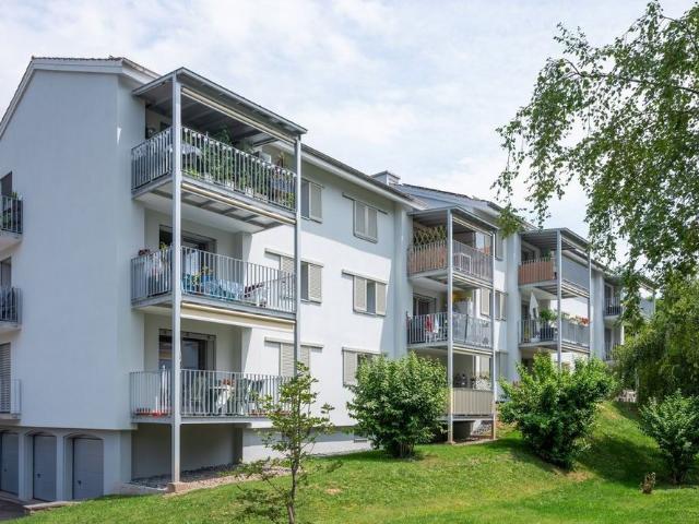 Apartment mieten in Vevey, Waadt