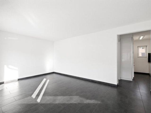 Apartment mieten in Trimbach, Amtei Olten-Gösgen
