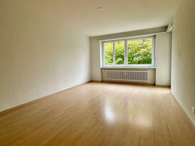 Apartment mieten in Laupen ZH, Wald (ZH)