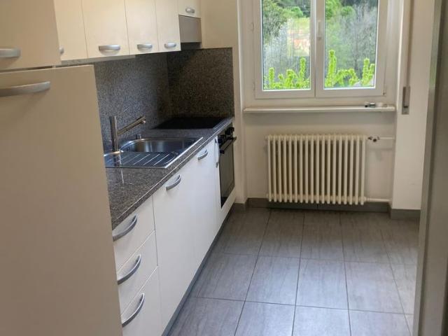 Apartment mieten in Mairengo, Faido