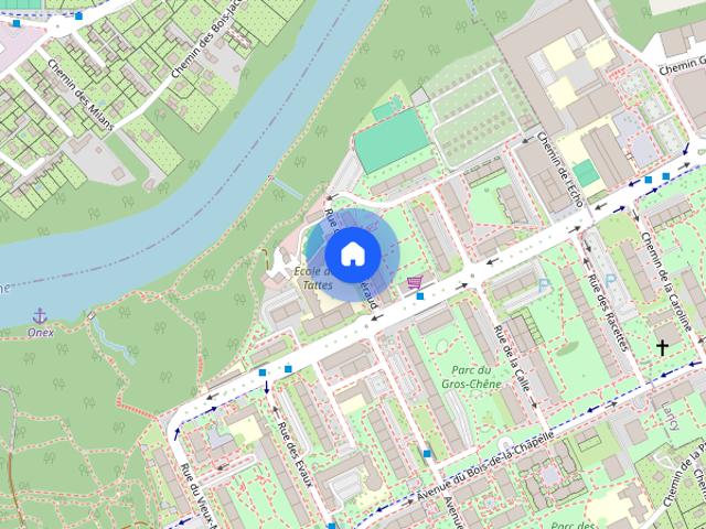 Apartment mieten in Onex