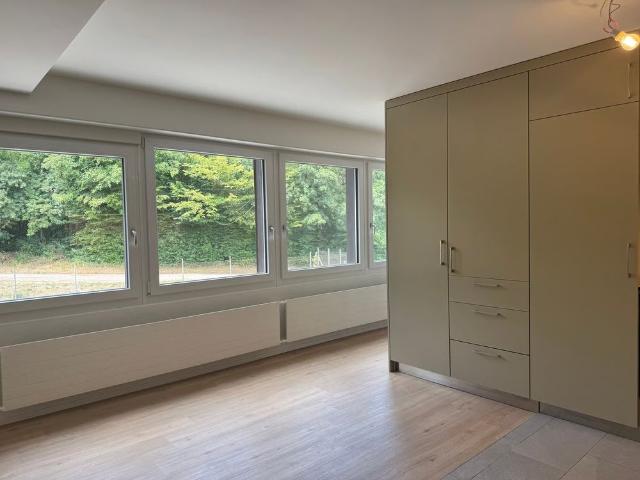 Apartment mieten in Liestal, Basel-Landschaft