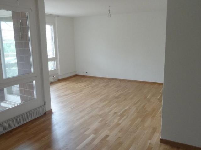 Apartment mieten in Therwil, Bezirk Arlesheim